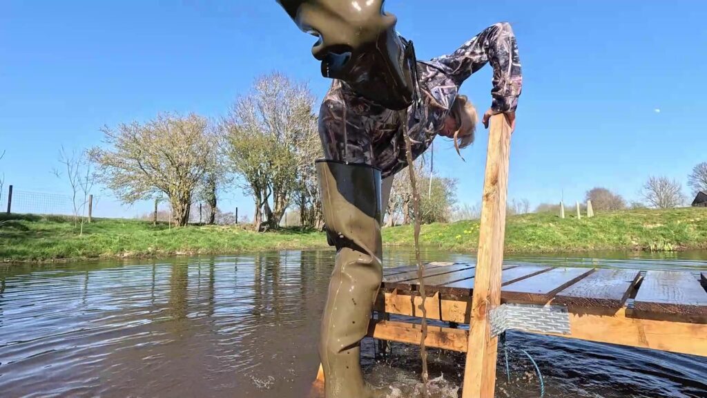 Rustelling Video 110 - Bull rustling | Wet and Muddy