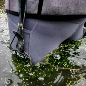 Xmas Freebie – 2025 Xmas Freebie – 2025