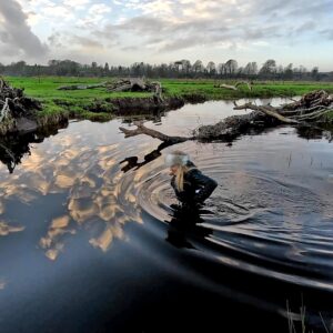 Video 120 – Big sky